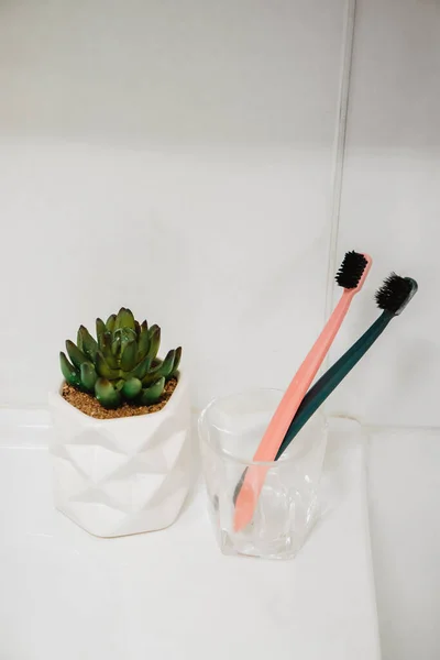Tooth Brushes Bathroom White — Stock Photo, Image