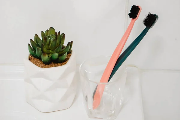 Banyoda Beyaz Diş Fırçaları — Stok fotoğraf
