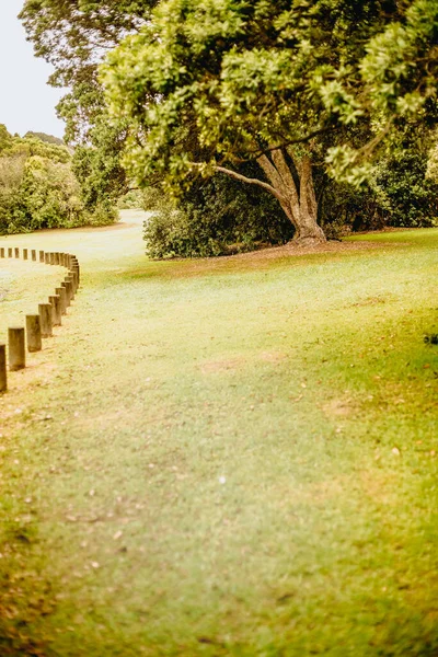 Foto Aire Libre Árbol Parque Bosque Atardecer — Foto de Stock