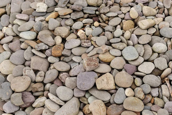 Gładkie kamienie tekstury tła. Kamyki atlantyckie. — Zdjęcie stockowe
