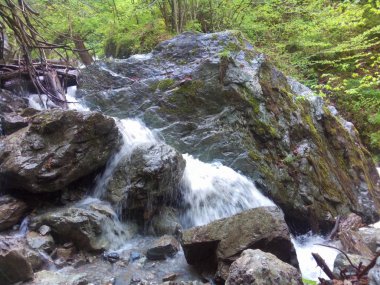 Romanya dağları Mayıs 2017 