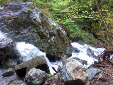 Romanya dağları Mayıs 2017 