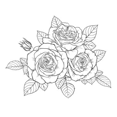 arka plan üzerinde izole güzel tek renkli siyah ve beyaz buket gül.