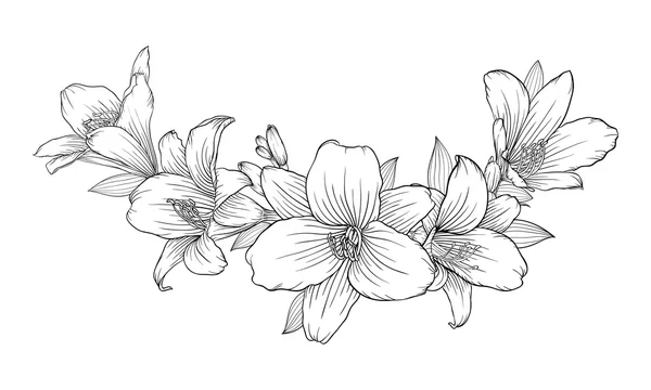 Lily piękny bukiet biało-czarnych monochromatyczne na białym tle na tle. — Wektor stockowy