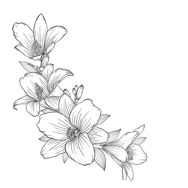 Krásné jednobarevné černé a bílé kytice lilie izolované na pozadí. — Stockový vektor