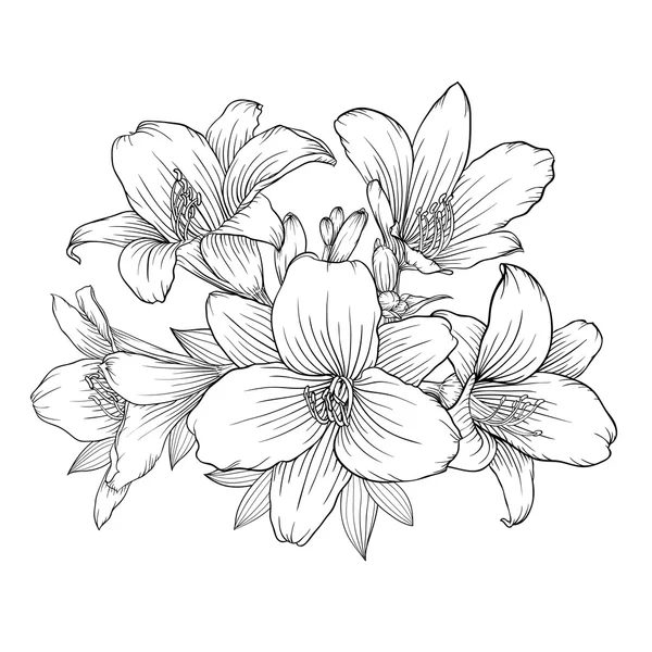 背景に分離された美しいモノクロの白と黒の花束ユリ. — ストックベクタ