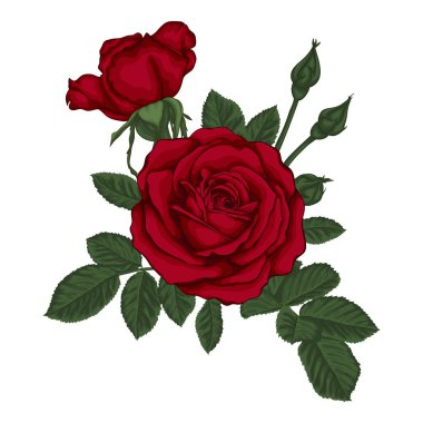 Kırmızı gülleri ve yaprakları olan güzel bir buket. Çiçek aranjmanı.