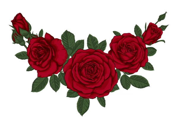 Beau bouquet de roses rouges et de feuilles. Arrangement floral. — Image vectorielle