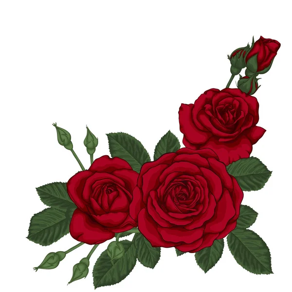 Πανέμορφο μπουκέτο με τρία κόκκινα τριαντάφυλλα και τα φύλλα. Floral ρύθμιση. — Διανυσματικό Αρχείο
