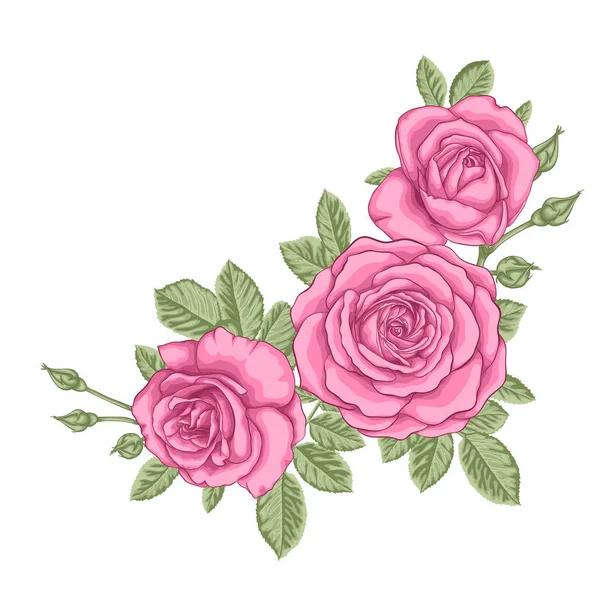 Hermoso ramo con tres rosas rosadas y hojas. Arreglo floral . — Archivo Imágenes Vectoriales