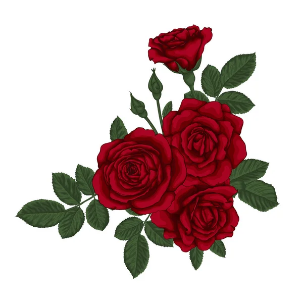 Hermoso ramo con rosas rojas y hojas. Arreglo floral. — Vector de stock