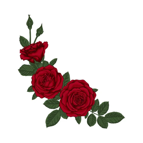 Hermoso ramo con rosas rojas y hojas. Arreglo floral. — Vector de stock