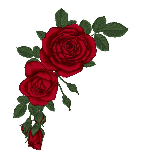 Vacker bukett med röda rosor och blad. Blomsterarrangemang. — Stock vektor