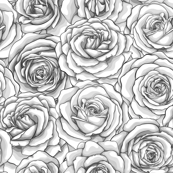 Beautiful monochrome, black and white seamless background with roses. — Stock Vector