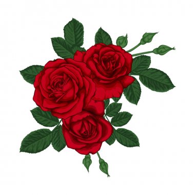 Kırmızı gülleri ve yaprakları olan güzel bir buket. Çiçek aranjmanı.