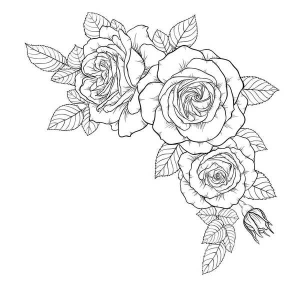 Hermoso ramo blanco y negro rosa y hojas. Arreglo floral aislado sobre fondo. tarjeta de felicitación de diseño e invitación de la boda, cumpleaños, día de San Valentín, día de la madre, día festivo — Archivo Imágenes Vectoriales