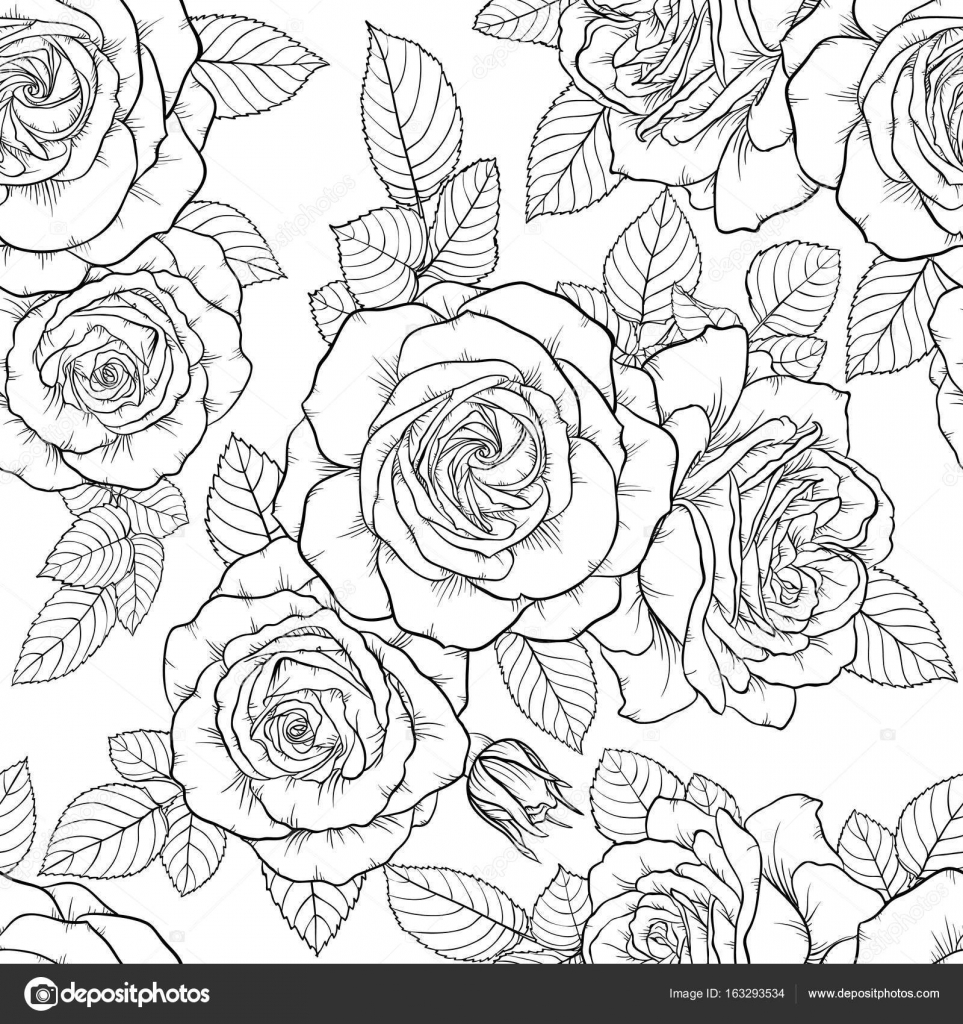 ぜいたく白黒 モノクロ 薔薇 イラスト アニメ画像 ぜいたく白黒 モノクロ 薔薇 イラスト アニメ画像