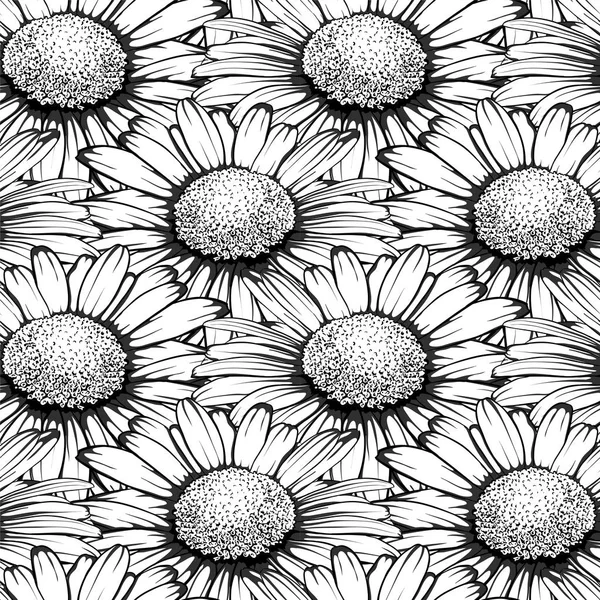 Vacker sömlös mönster med blommor daisy. design för gratulationskort och inbjudningskort för bröllop, födelsedag, alla hjärtans dag, mors dag och andra säsongsbetonade semester — Stock vektor