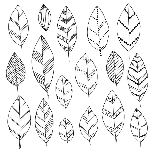 Vacker svart och vitt uppsättning hand dras doodle lämnar isolerade skiss för design bakgrund gratulationskort och inbjudan till bröllop, födelsedag, mors s dag och andra säsongsbetonade höstens helgdagar — Stock vektor