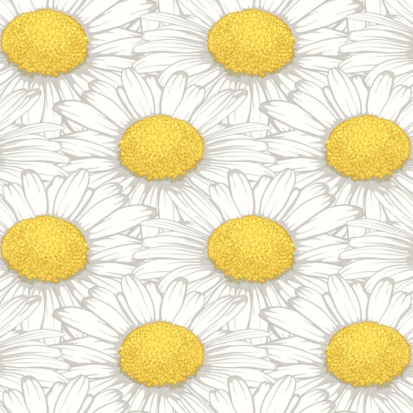 Vacker sömlös mönster med blommor daisy. design forgreeting kort och inbjudningar av bröllop, födelsedag, alla hjärtans dag, mors dag och andra säsongsbetonade semester — Stock vektor