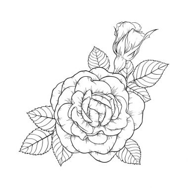 güzel siyah ve beyaz gül ve bırakır. Çiçek Aranjman arka plan üzerinde izole. tatil tebrik kartı ve daveti üzerine anne günü, düğün, doğum günü, Sevgililer s gün tasarım.