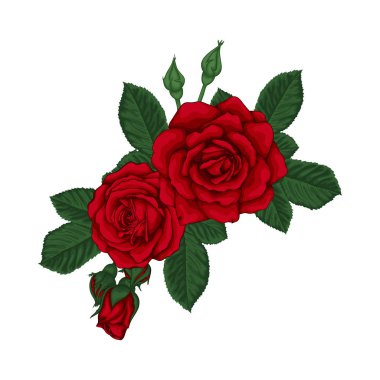 Kırmızı gülleri ve yaprakları olan güzel bir buket. Çiçek aranjmanı. Tasarım tebrik kartı ve düğün davetiyesi, doğum günü, sevgililer günü, anneler günü ve diğer tatiller.