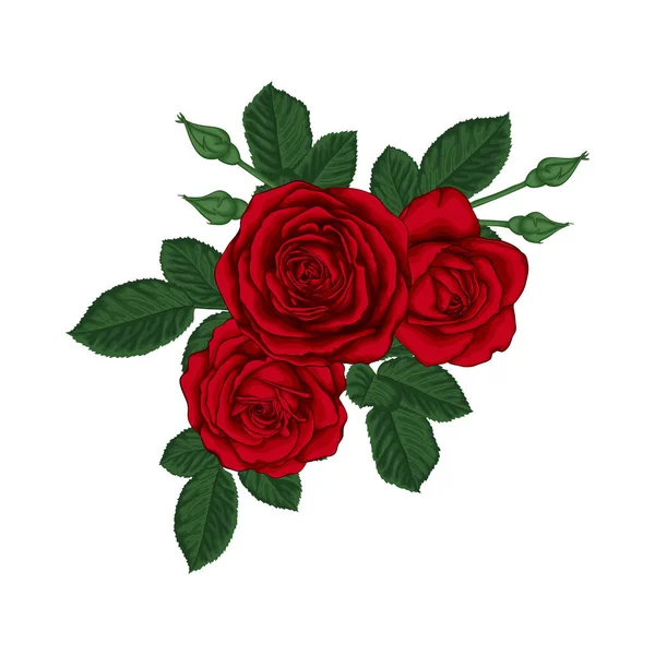 赤いバラと葉の美しい花束。フラワーアレンジメント。結婚式、誕生日、バレンタインデー、母の日や他の休日のデザイングリーティングカードと招待状 — ストックベクタ