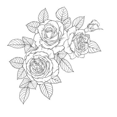 güzel siyah ve beyaz buket gül ve bırakır. Çiçek Aranjman arka plan üzerinde izole. tatil tebrik kartı ve daveti üzerine anne günü, düğün, doğum günü, Sevgililer s gün tasarım