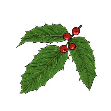 Vektör gerçekçi el Holly, böğürtlenli ilex dalı ve beyaz arka planda yapraklar. Mutlu Noeller ve yeni yılların, mevsimsel kış tatillerinin kutlama kartları ve davetiyelerini tasarla