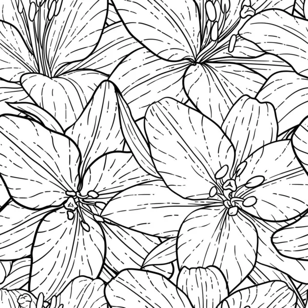 Seamless pattern, beautiful monochrome black and white lily. Hand-drawn. design greeting card and invitation of the wedding, birthday, Valentine s Day, mother s day and other holiday — Stock Vector