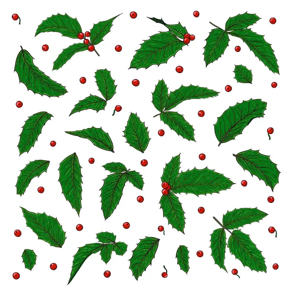 ホリー、イレックスの枝にベリーと葉の白い背景ホリデーグリーティングカードをデザインし、メリークリスマスとハッピーニューイヤー、季節の冬の休日の招待状 — ストックベクタ