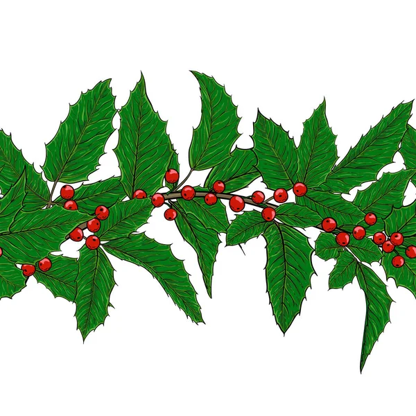 Pola holly mulus horisontal, cabang ilex dengan berry dan daun di latar belakang putih. desain kartu ucapan liburan dan undangan Selamat Natal dan Tahun Baru, liburan musim dingin musiman - Stok Vektor