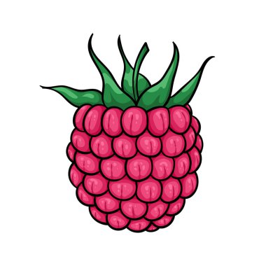 Siyah çizgili pembe ahududu çizgi filmi. Yazın sembolü. Bayram tebrik kartı tasarımı ve mevsimlik yaz tatilleri, plaj partileri, turizm ve seyahat davetiyeleri