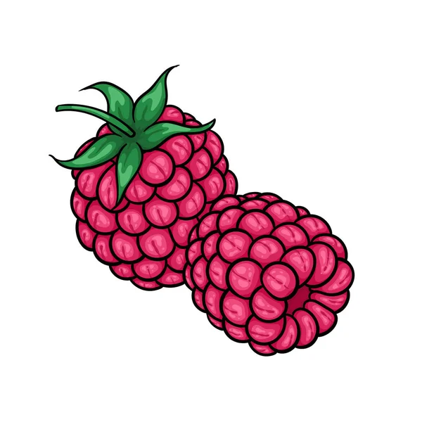 Beautiful cartoon pink raspberries with black contour, symbol of summer. design for holiday greeting card and invitation of seasonal summer holidays, beach parties, tourism and travel — 스톡 벡터