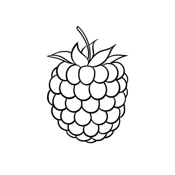 Beautiful cartoon black and white outline raspberry, symbol of summer. design for holiday greeting card and invitation of seasonal summer holidays, beach parties, tourism and travel — 스톡 벡터