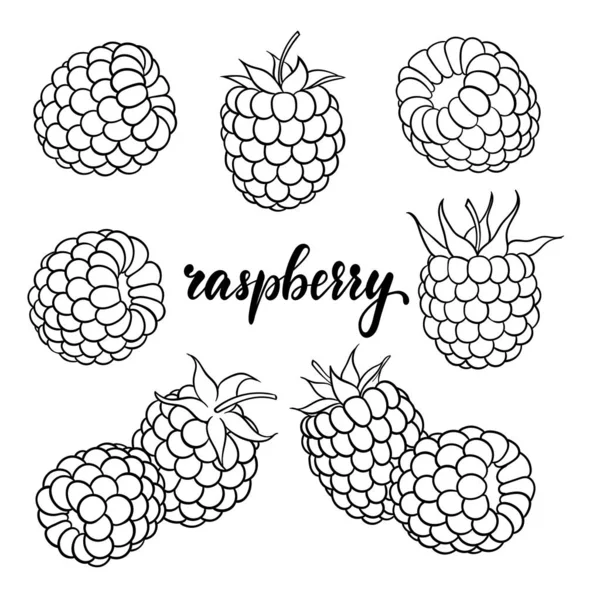 Set of cartoon black and white outline raspberry, with lettering text raspberry. design for holiday greeting card and invitation of seasonal summer holidays, beach parties, tourism and travel — 스톡 벡터