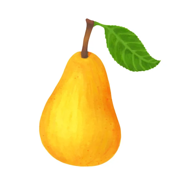 Realistic yellow pear isolated on white background. Vector illustration — Stock Vector