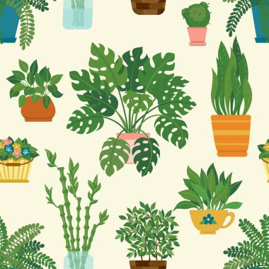 Arka planda izole edilmiş kusursuz desenli dekoratif ev bitkileri. Saksılarda ya da saksılarda yetişen moda bitkiler. Beyaz arka planda güzel doğal ev dekorasyonları.