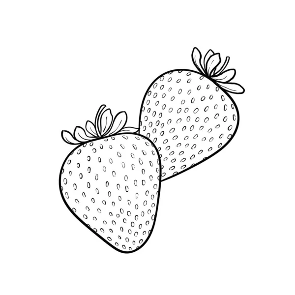 Beautiful cartoon black and white outline strawberry, symbol of summer. design for holiday greeting card and invitation of seasonal summer holidays, beach parties, tourism and travel — Stock Vector