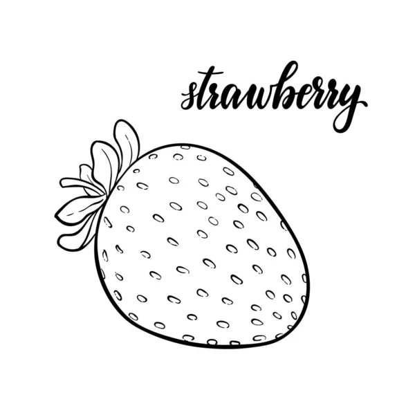 Vackra tecknade svartvita kontur jordgubbar med bokstäver text jordgubbe. design för semester gratulationskort och inbjudan av säsongsbetonade sommarsemester, strandfester, turism och resor — Stock vektor
