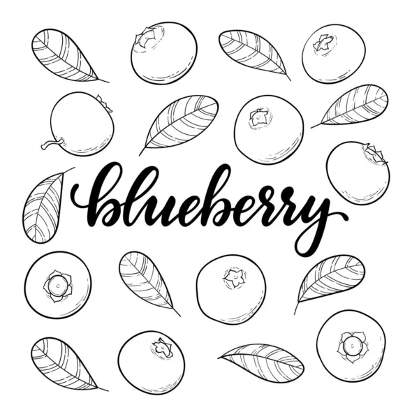 Set of Beautiful cartoon black and white outline blueberries with lettering text blueberry. design holiday greeting card and invitation of seasonal summer holidays, beach parties, tourism and travel — 스톡 벡터