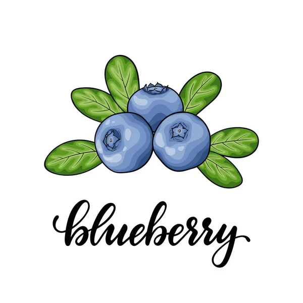 Kartun indah blueberry merah dengan huruf kata blueberry, simbol musim panas. desain untuk kartu ucapan liburan dan undangan liburan musim panas musiman, pesta pantai, pariwisata dan perjalanan - Stok Vektor