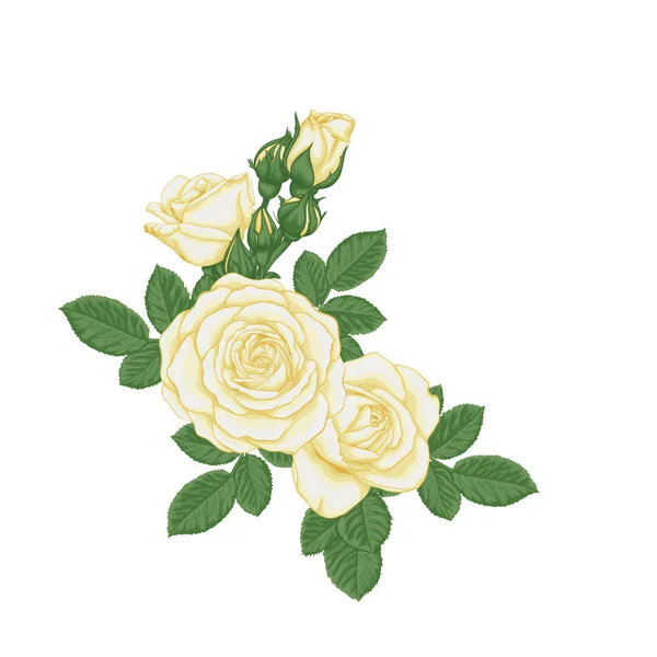 Όμορφο μπουκέτο με λευκά τριαντάφυλλα και φύλλα. Σύνθεση με λουλούδια. σχέδιο ευχετήρια κάρτα και πρόσκληση του γάμου, γενέθλια, Ημέρα του Αγίου Βαλεντίνου, Ημέρα της μητέρας και άλλες διακοπές. — Διανυσματικό Αρχείο