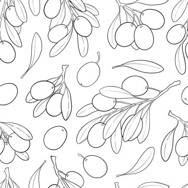 Kusursuz siyah beyaz eskiz zeytin dalı ve yapraklı. Restoran, kafe, menü, zeytinyağlı organik kozmetik. Ambalaj dekoru, logo, illüstrasyon