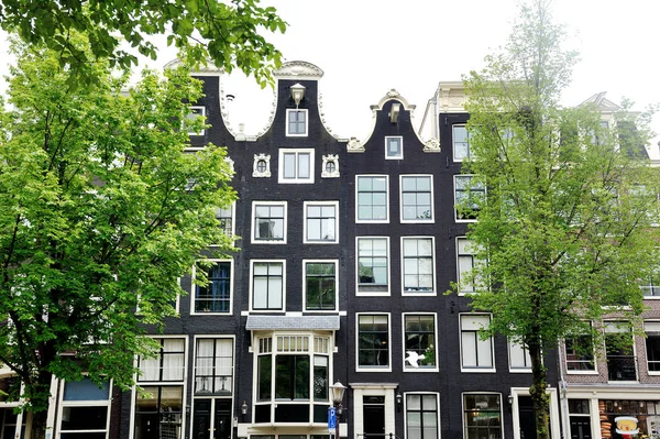 Amsterdam, Holanda, Europa - fachada de edificios entre dos árboles — Foto de Stock