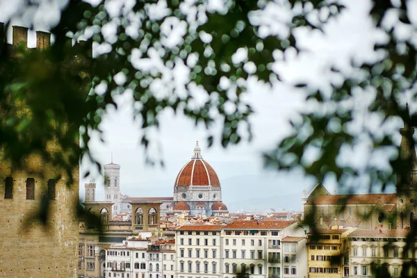 Panoramautsikt över Florens och katedralen kupol, Toscana, Italien, — Stockfoto