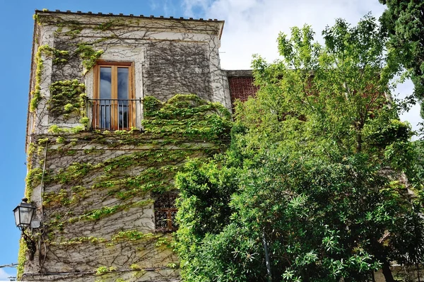Ivy stěně budovy v Positano, Amalfi coast — Stock fotografie