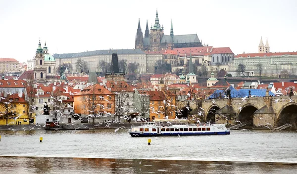 Prague, Tsjechië - uitzicht op het kasteel en de vogels vliegen over de Moldau — Stockfoto