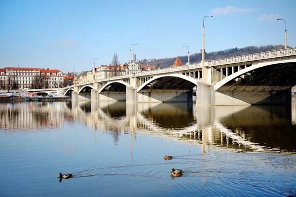 Praga, República Checa - un puente y gansos nadando en el río Moldava — Foto de Stock