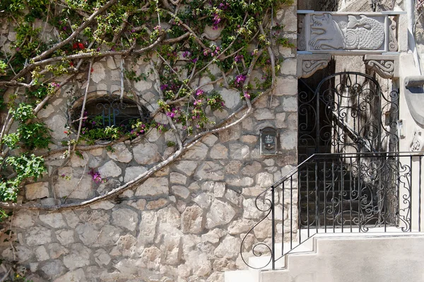 Brána a zeď s větví a listí v Positano, Amalfi coast — Stock fotografie